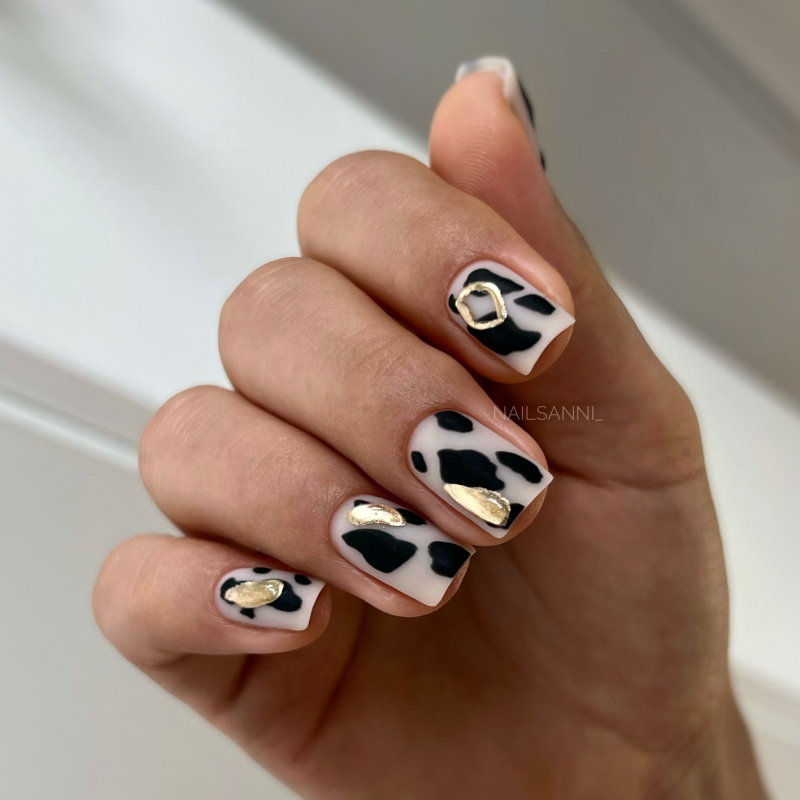 praline-2